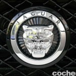 Exposicion_Jaguar_06