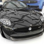 Exposicion_Jaguar_08