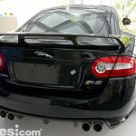Exposicion_Jaguar_12