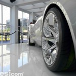 Exposicion_Jaguar_25