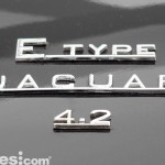Exposicion_Jaguar_34