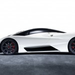 09_SSC_Tuatara 09_SSC_Tuatara