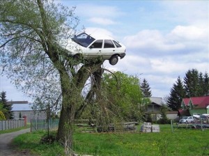 Suben su coche a un árbol para darle una lección