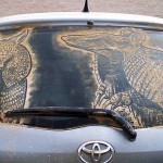 Scott Wade, arte en los coches sucios Scott Wade armadillos 150x150 Scott Wade, arte en los coches sucios