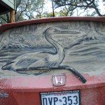 Scott Wade, arte en los coches sucios Scott Wade grulla 150x150 Scott Wade, arte en los coches sucios