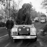 Kam elefante Land Rover noviembre 1959 150x150 Cuando circular en coche era cosa de tres