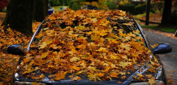 Cmo es el contrato de compraventa de un coche