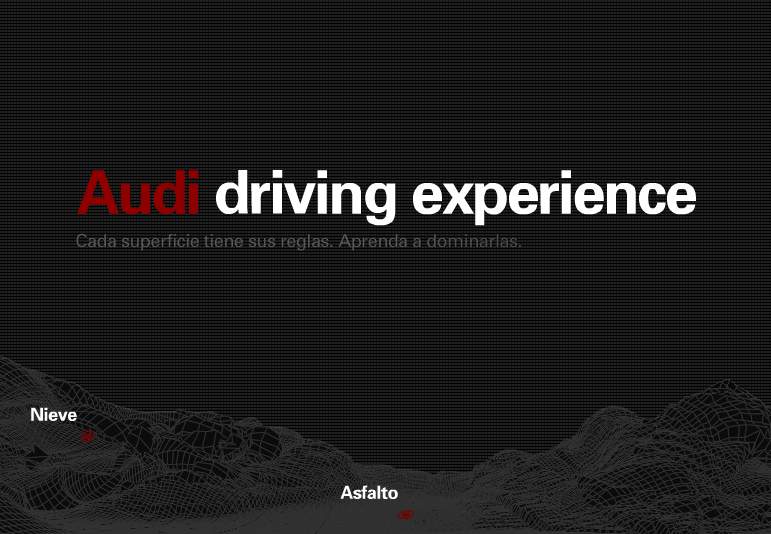 audi_driving_experience