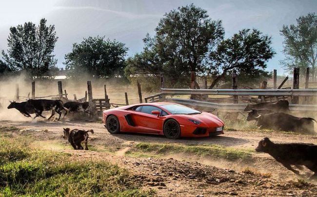 El Lamborghini Aventador vuelve a sus orígenes