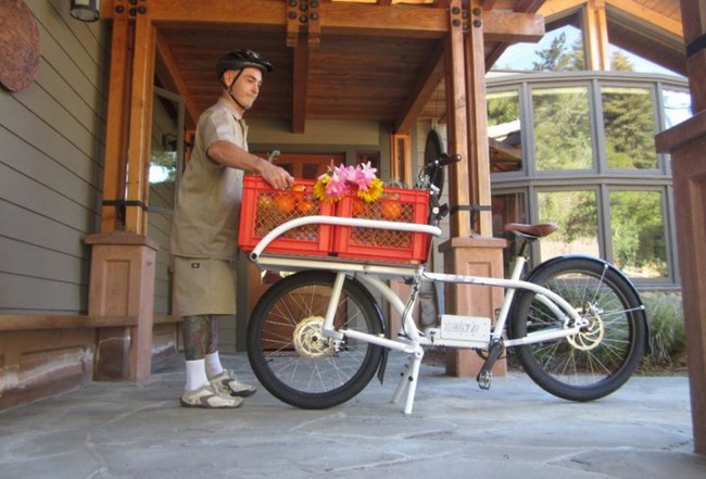 Cargo Bike 7