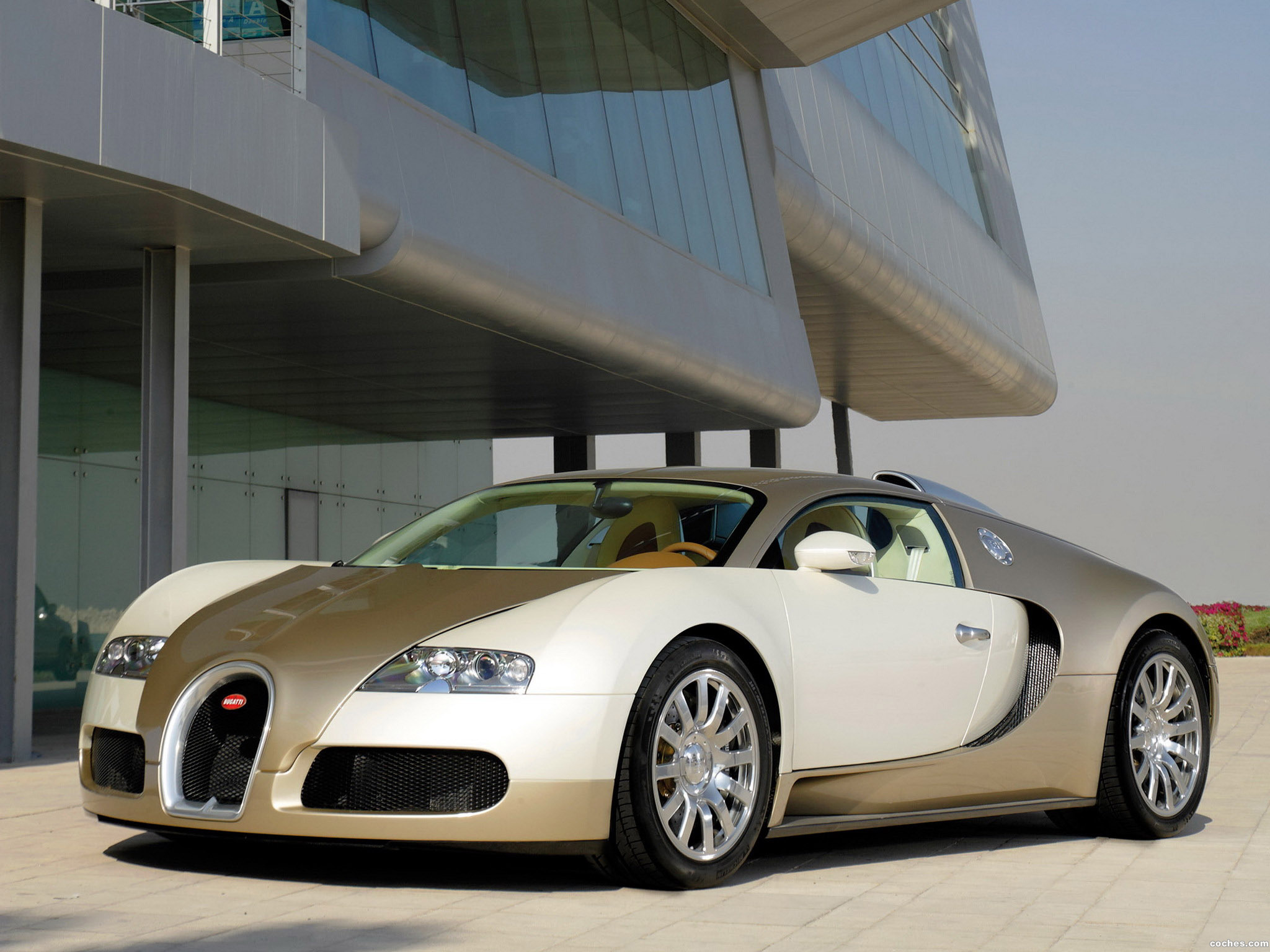 bugatti_veyron-gold-edition-2009_r7