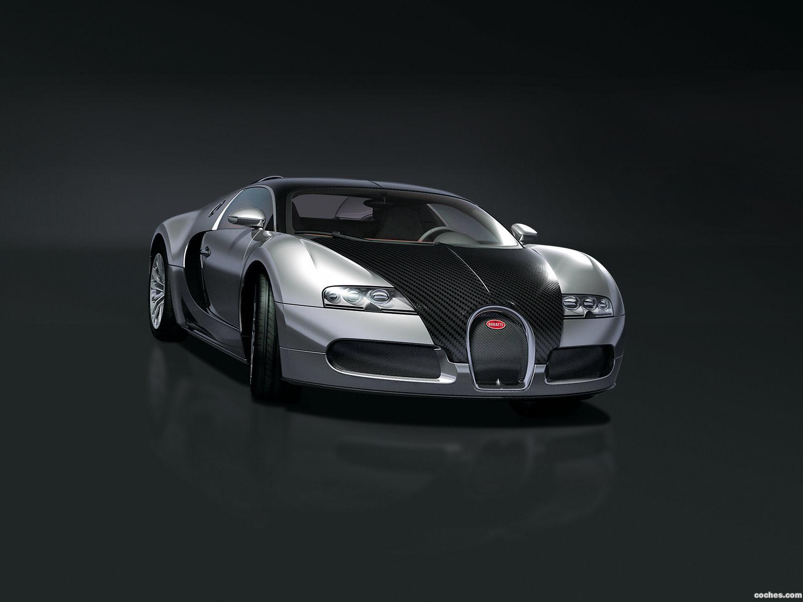 bugatti_veyron-pur-sang-2007_r5