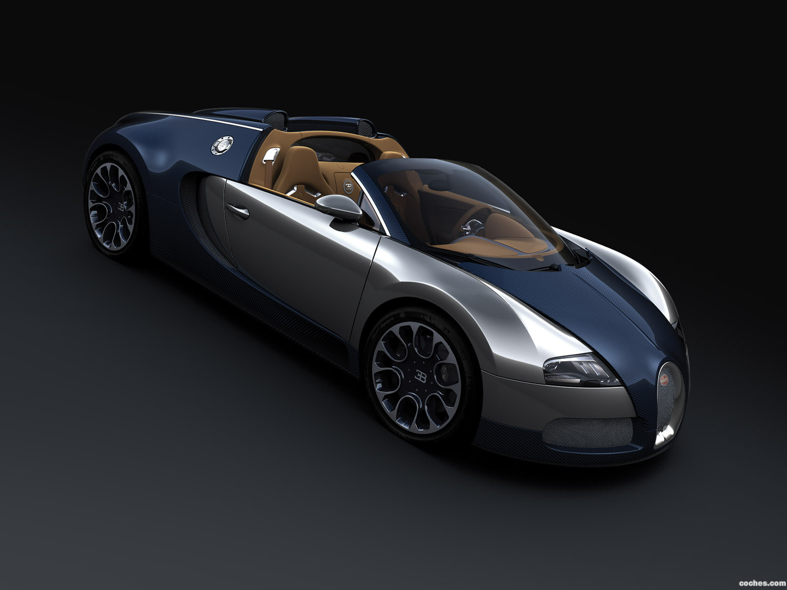 bugatti_veyron-sang-bleu-grand-sport-2009_r6