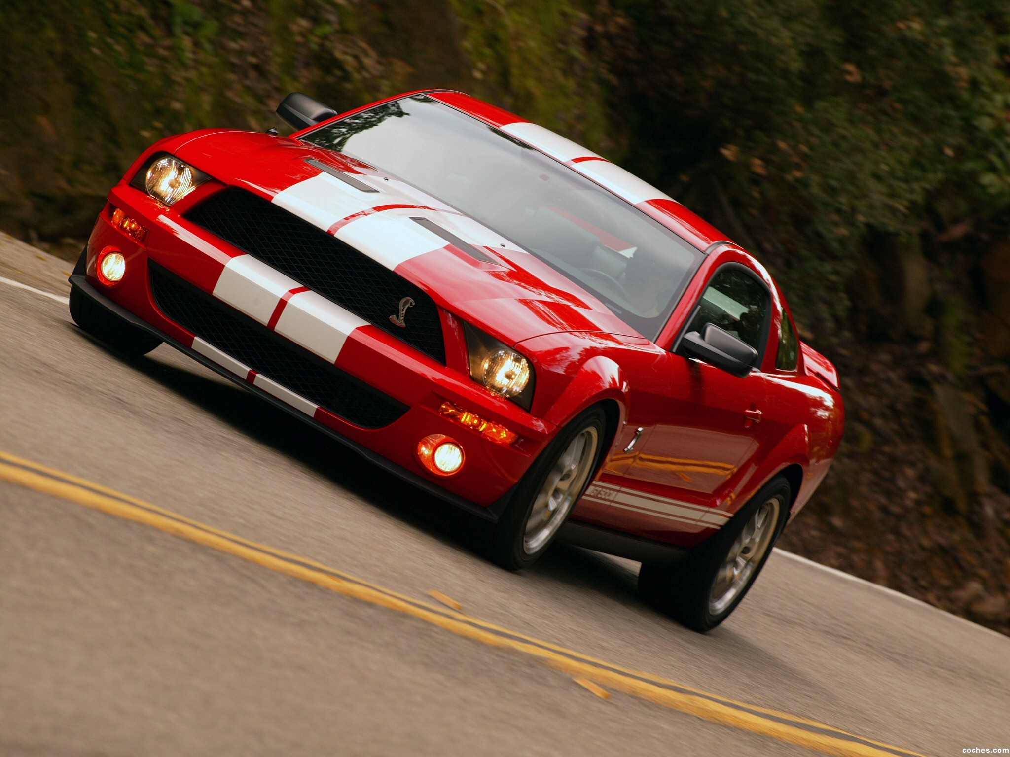 ford_mustang-shelby-gt500_r9