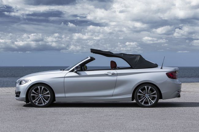 BMW Serie 2 cabrio 2015 30