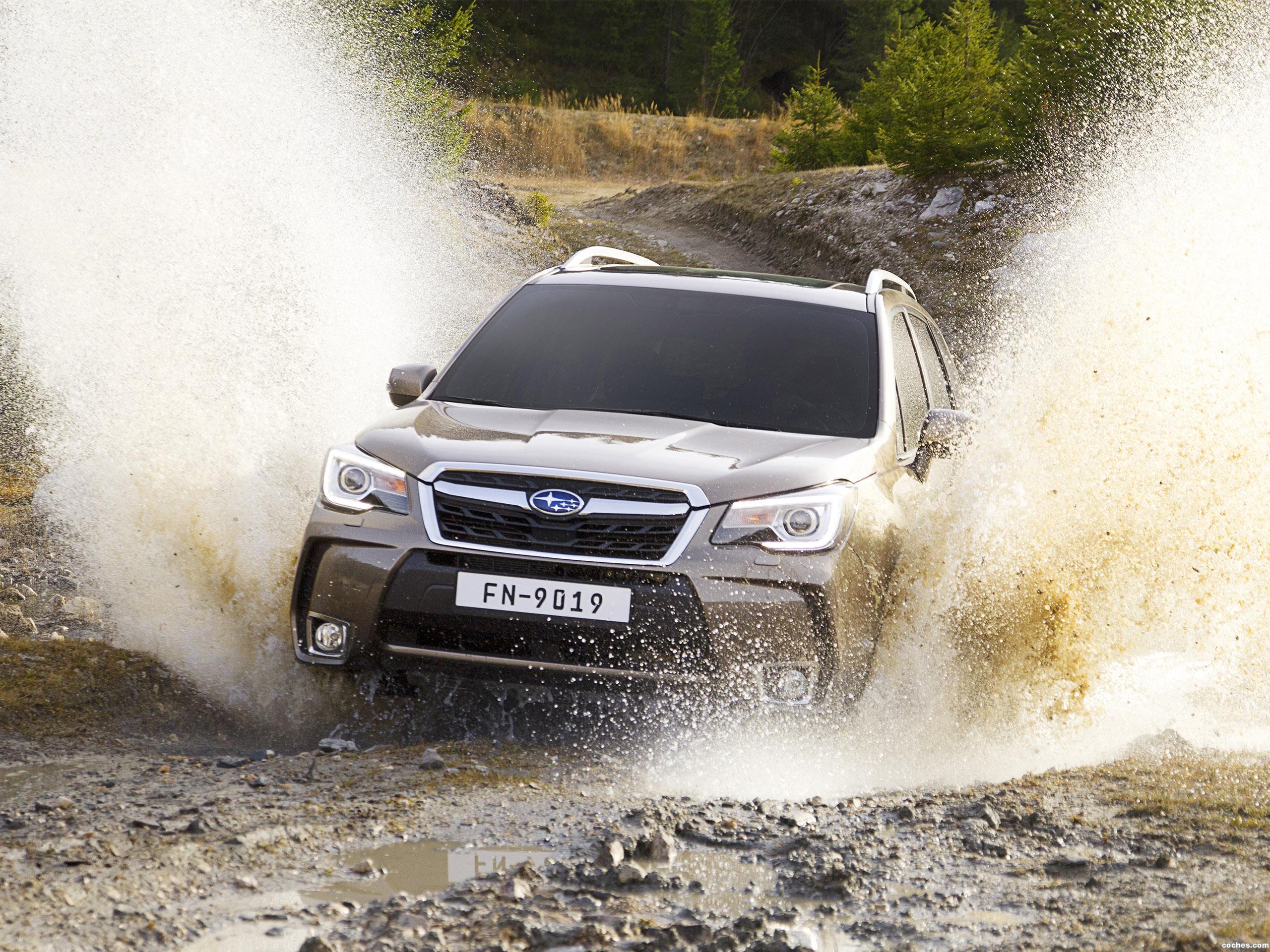 subaru_forester-2-0xt-2016_r15.jpg